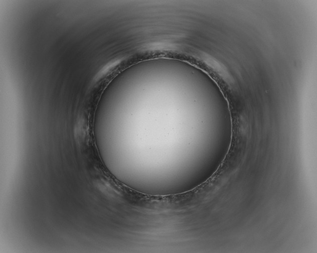 X0000115790872200911201330