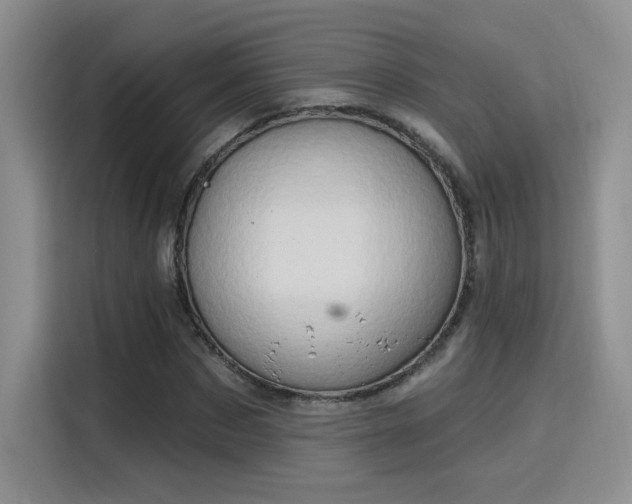 X0000115790873200911201330