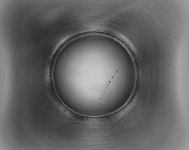 X0000115790875200911201330