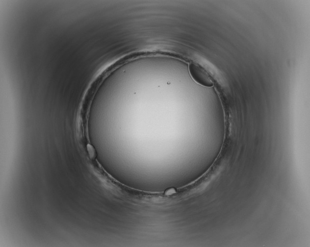 X0000115790876200911201330