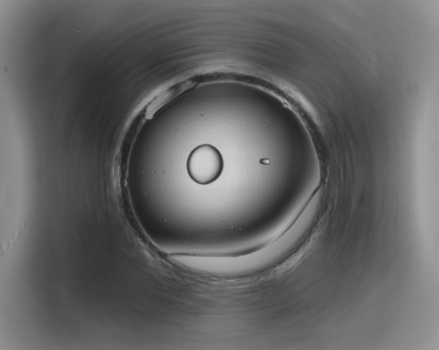 X0000115790877200911201330