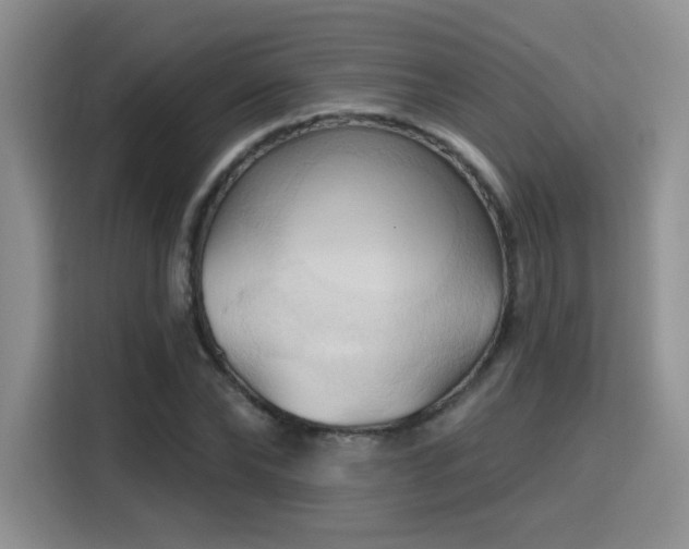 X0000115790878200911201330