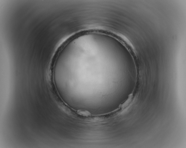 X0000115790879200911201330