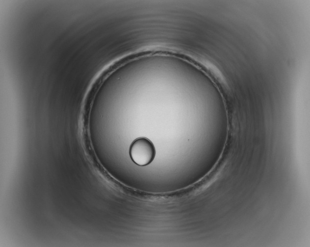 X0000115790880200911201330