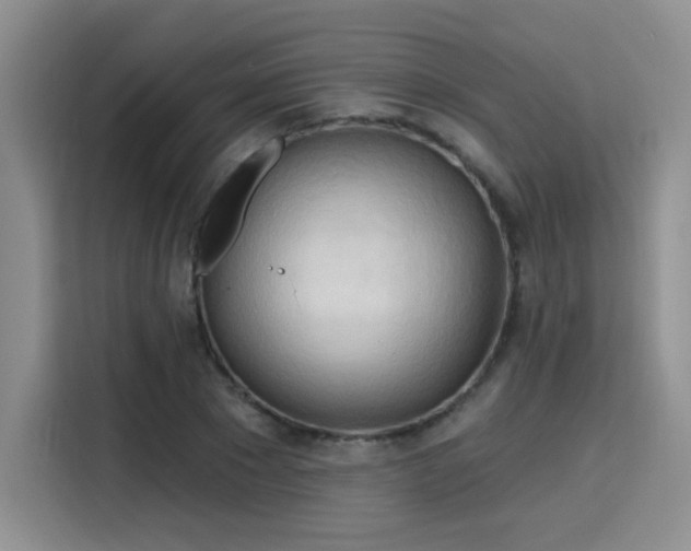 X0000115790881200911201330