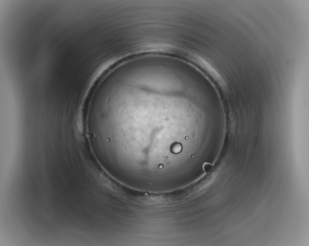 X0000115790883200911201330