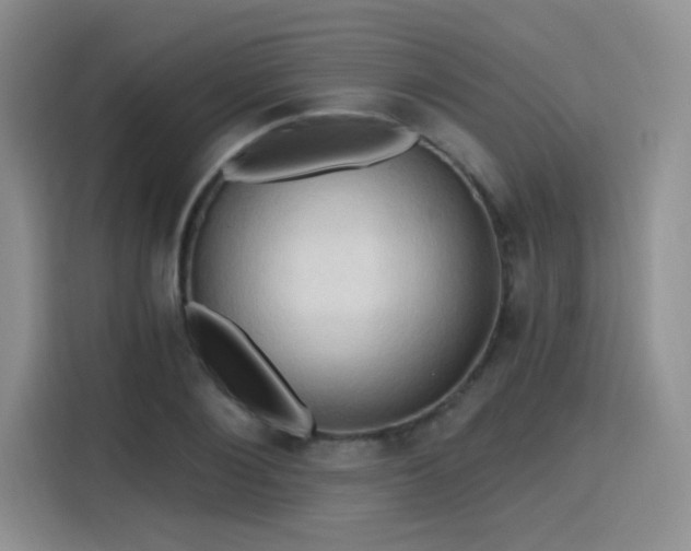 X0000115790884200911201330