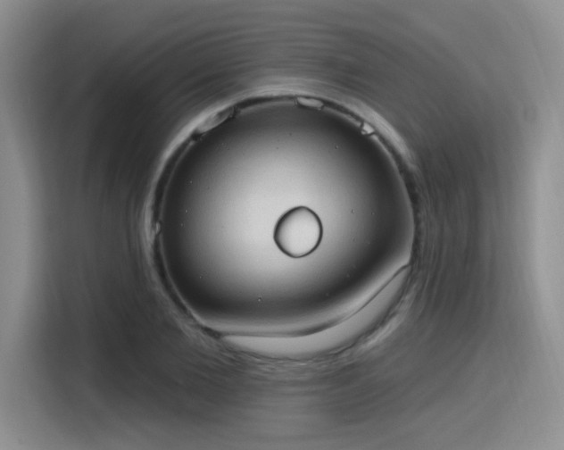 X0000115790885200911201330