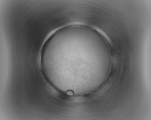 X0000115790886200911201330