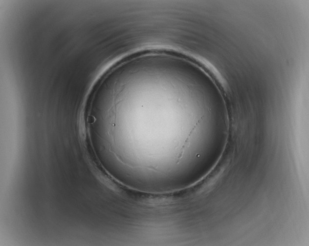 X0000115790887200911201330