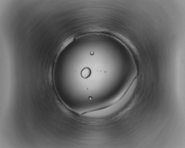 X0000115790889200911201330