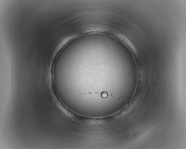 X0000115790890200911201330