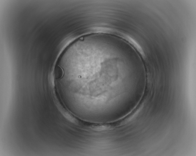 X0000115790891200911201330