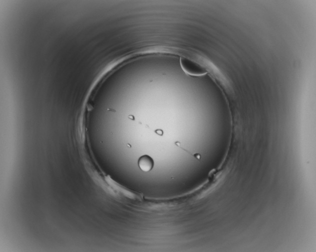 X0000115790892200911201330