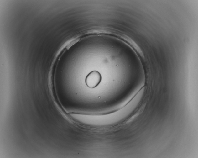 X0000115790893200911201330