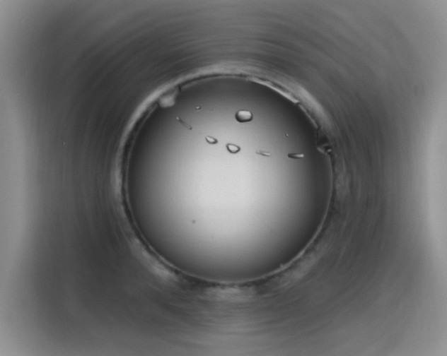 X0000115790896200911201330