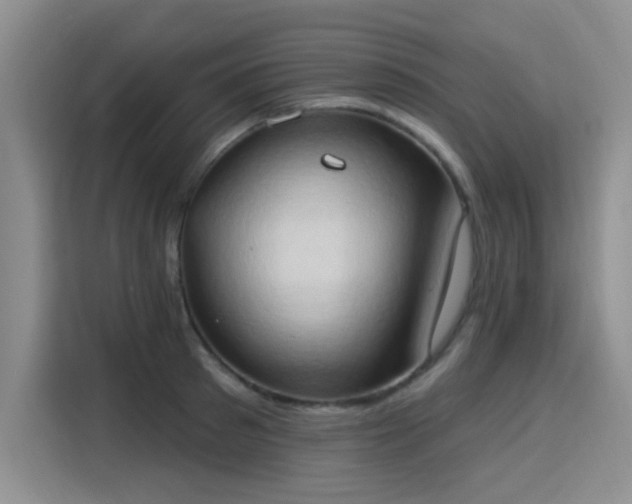 X0000115790897200911201330