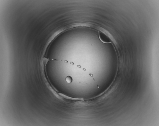 X0000115790898200911201329