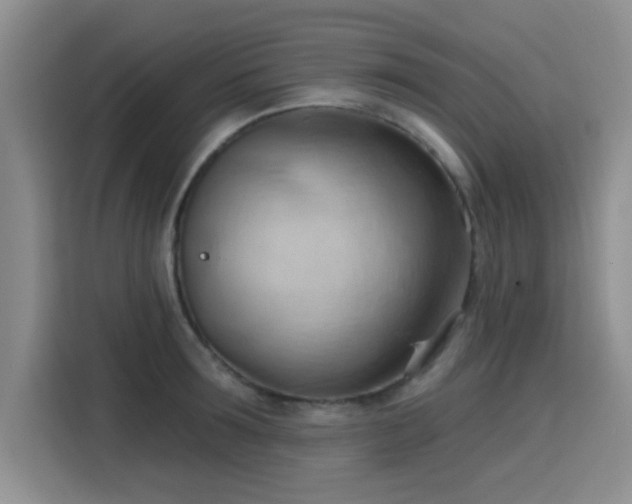 X0000115790899200911201329