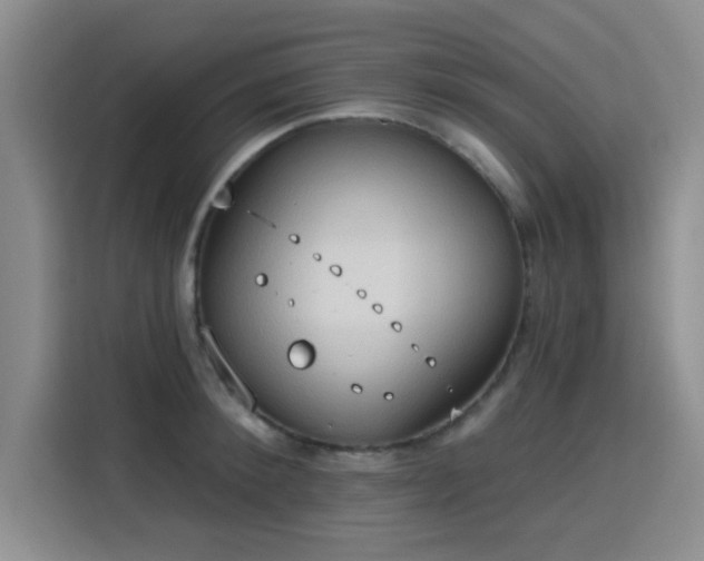 X0000115790900200911201329