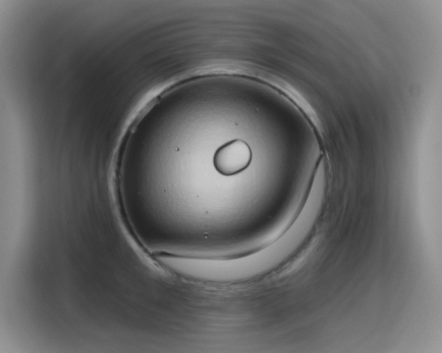 X0000115790901200911201329