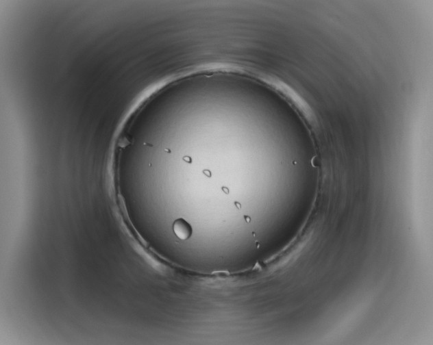 X0000115790902200911201329