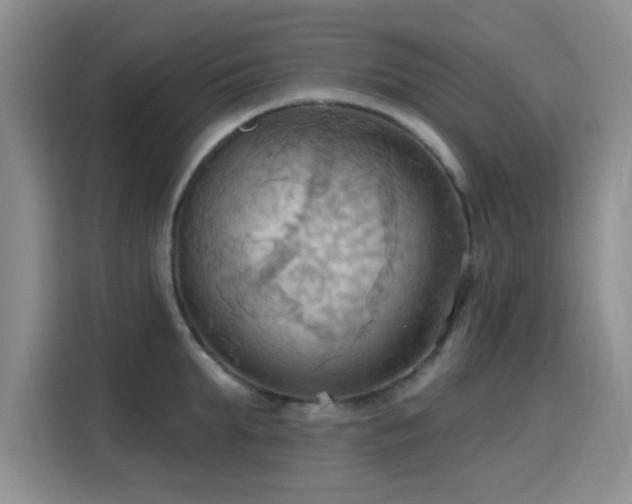 X0000115790903200911201329