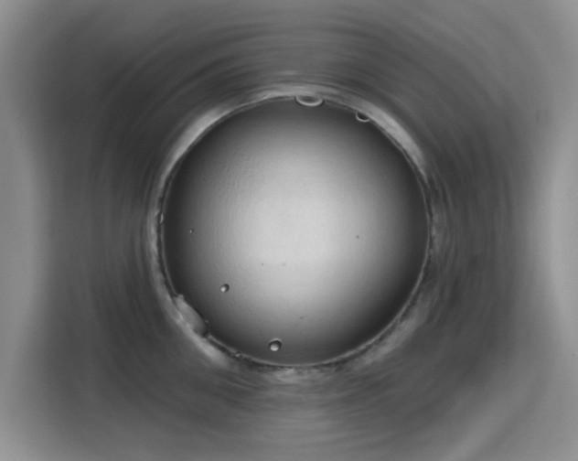 X0000115790906200911201329