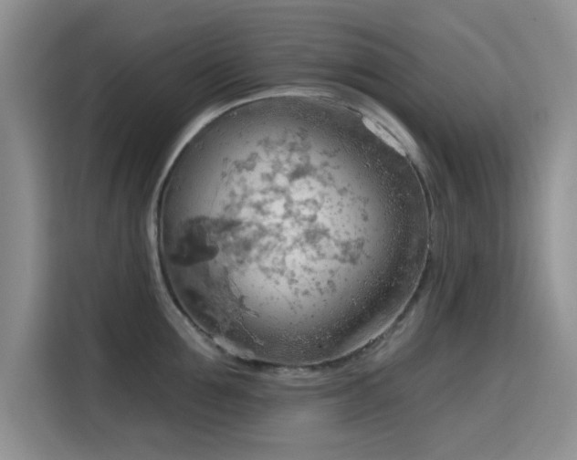 X0000115790907200911201329