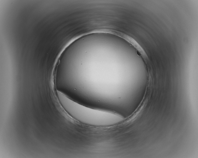 X0000115790908200911201329