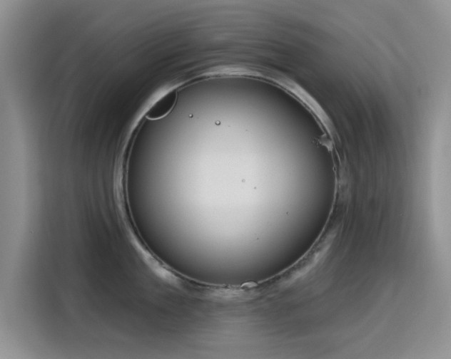 X0000115790909200911201329