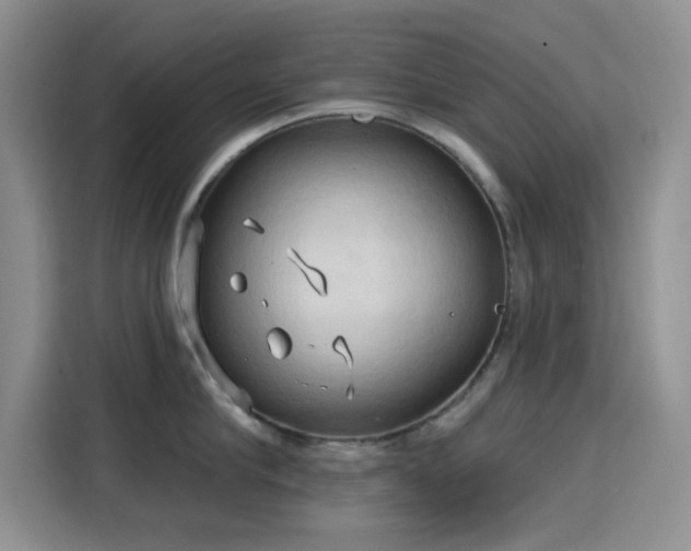 X0000115790910200911201329