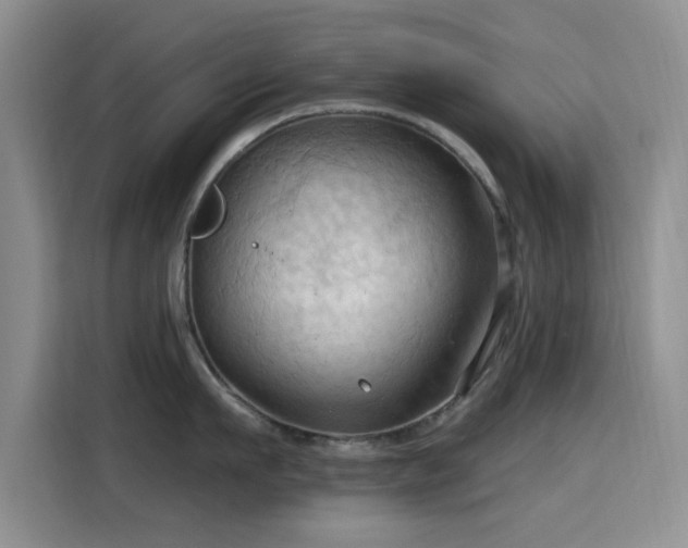 X0000115790911200911201329