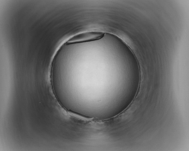 X0000115790912200911201329