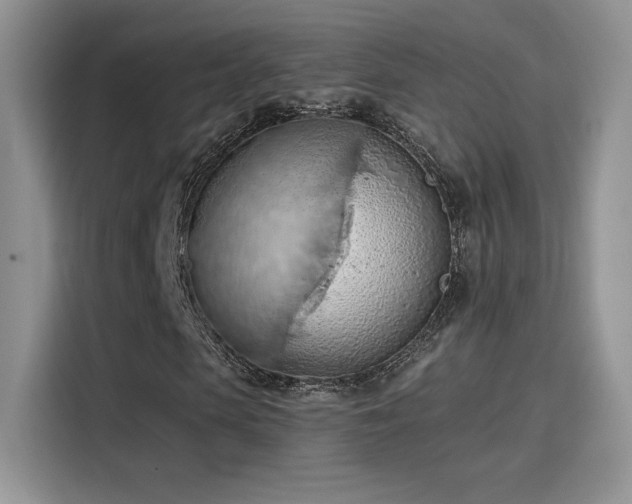 X0000115790913200911201329