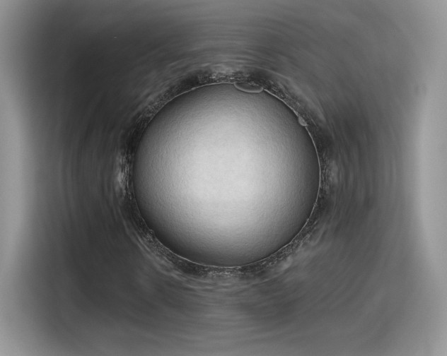 X0000115790914200911201329