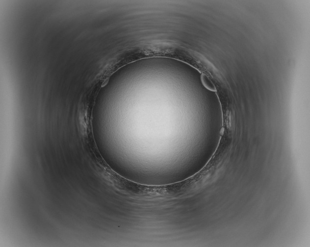 X0000115790915200911201329