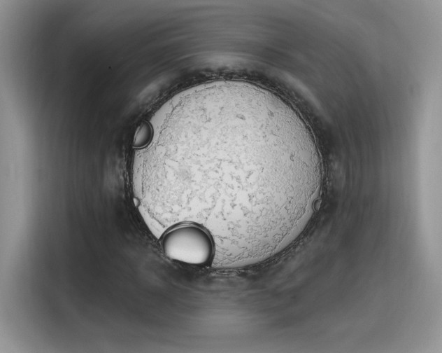 X0000115790918200911201329