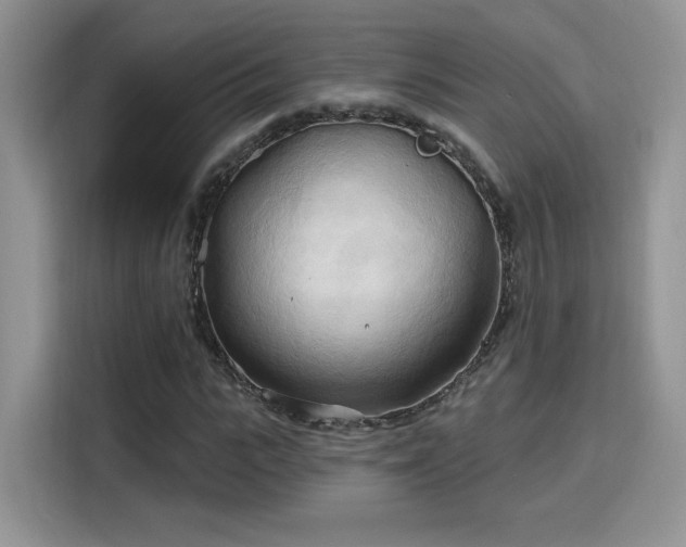 X0000115790919200911201329