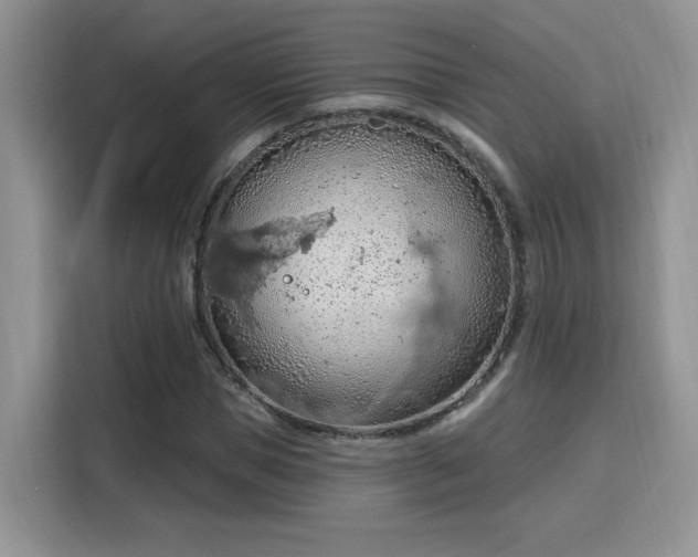 X0000115790921200911201329