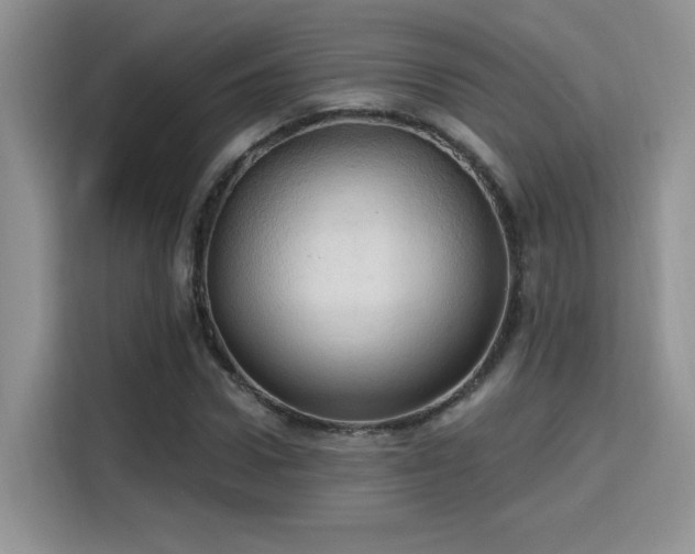 X0000115790922200911201329