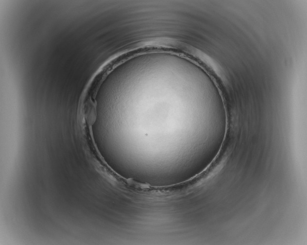 X0000115790923200911201329