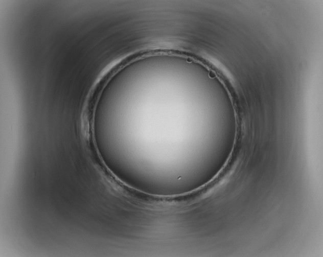 X0000115790925200911201329