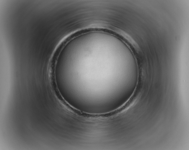 X0000115790926200911201329