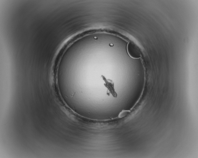 X0000115790927200911201329