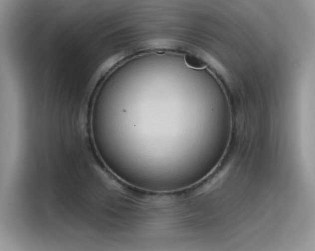 X0000115790930200911201329