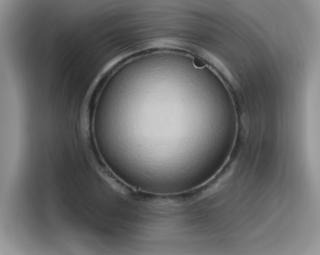 X0000115790931200911201329