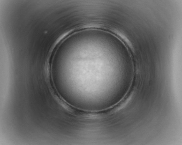 X0000115790933200911201329