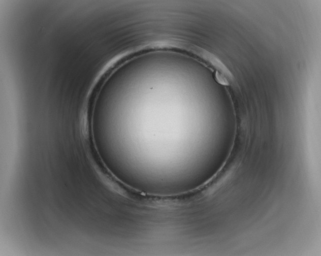 X0000115790934200911201329