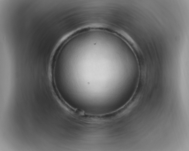 X0000115790935200911201329